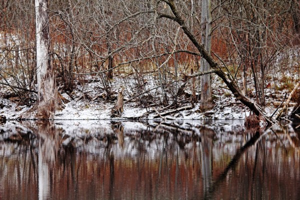 First Snow At The Pond by Deb Oppermann